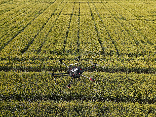 Drone surveying farmland