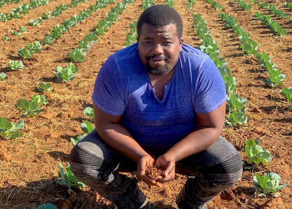Black farmer holding soil in a crop field